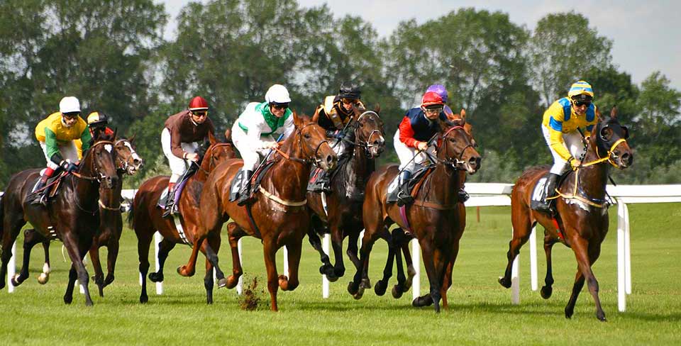 Tourisme d'affaires dynamique à Deauville